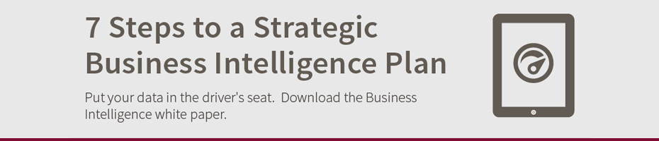 7_Steps_to_a_Strategic_BI_Strategy2.jpg